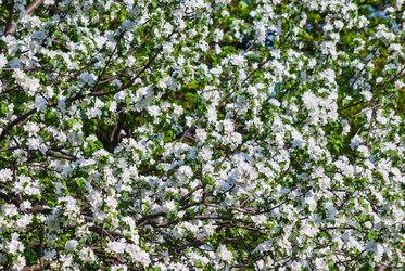 Similar image 2831903