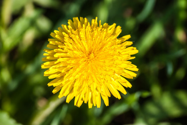 Similar image 2831904