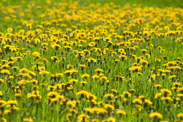 Similar image 2831905