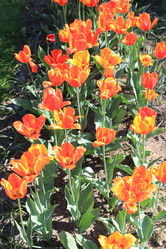 Similar image 2831914