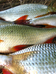 Similar image 2831915