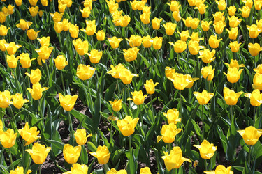 Similar image 2831918