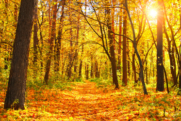 Similar image 2831992