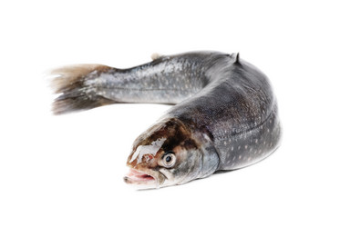 Similar image 2832070