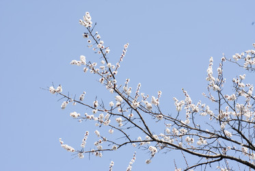 Similar image 2832087