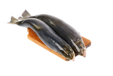 Similar image 2832093