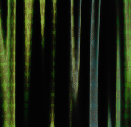 Similar image 2832131