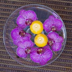 Similar image 2832259