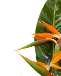 Similar image 2832261