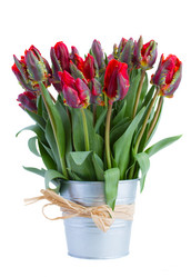 Similar image 2832284