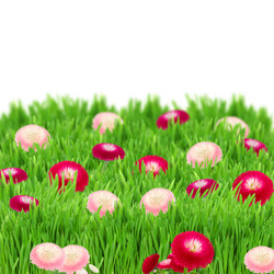 Similar image 2832297