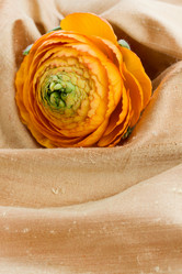 Similar image 2832313