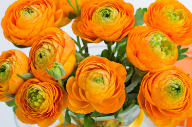 Similar image 2832314