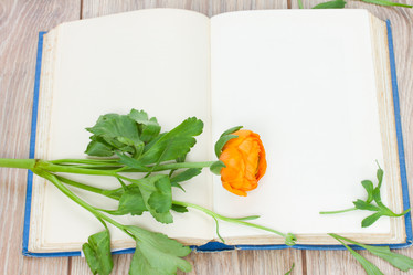 Similar image 2832315