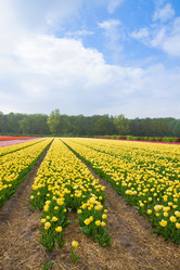 Similar image 2832318