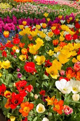 Similar image 2832319