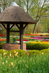 Similar image 2832322