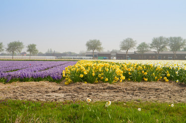 Similar image 2832324