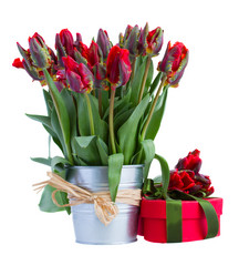 Similar image 2832327