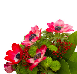 Similar image 2832330