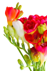 Similar image 2832336