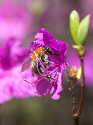 Similar image 2832467