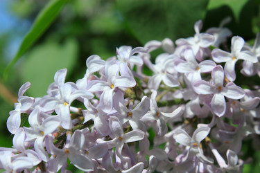 Similar image 2832487