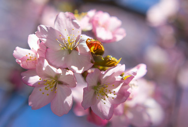 Similar image 2832505