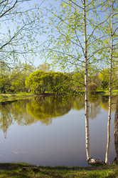 Similar image 2832506