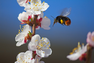 Similar image 2832509