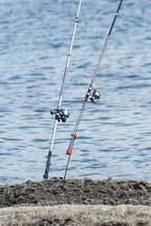 Similar image 2832517