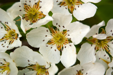 Similar image 2832585