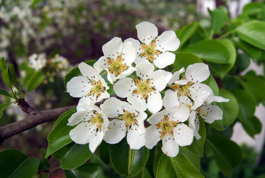 Similar image 2832590