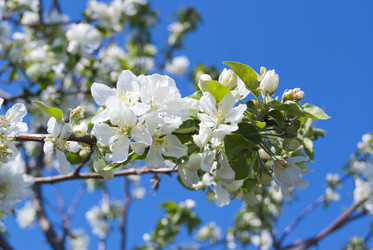 Similar image 2832591