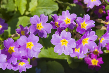 Similar image 2832592