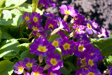 Similar image 2832593