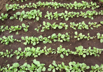 Similar image 2832594