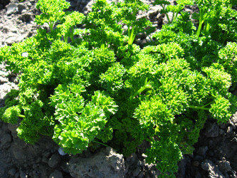 Similar image 2832633