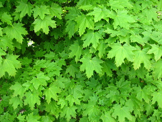 Similar image 2832634