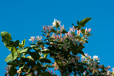 Similar image 2832738