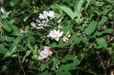 Similar image 2832743