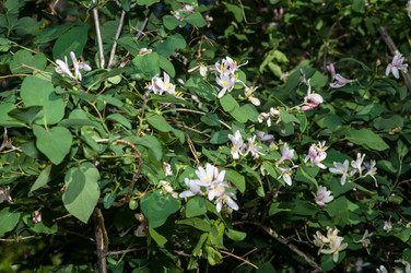 Similar image 2832744