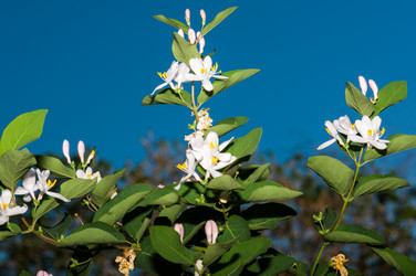 Similar image 2832749