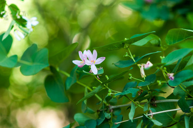 Similar image 2832752