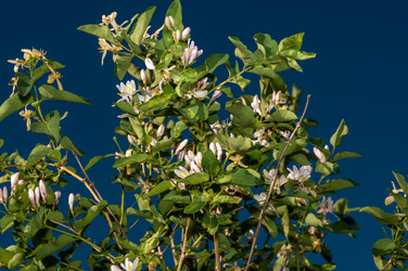 Similar image 2832753