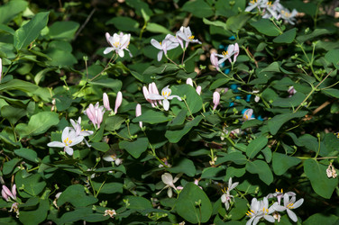 Similar image 2832754