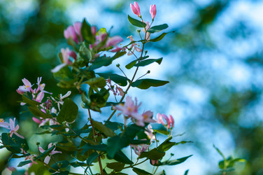 Similar image 2832762