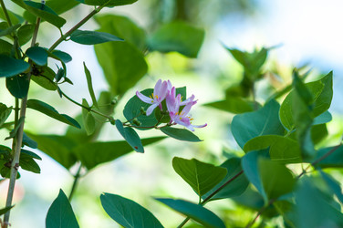 Similar image 2832763