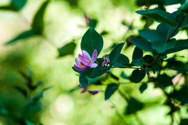 Similar image 2832764