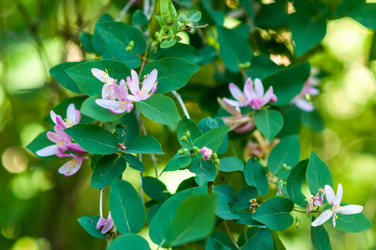 Similar image 2832765